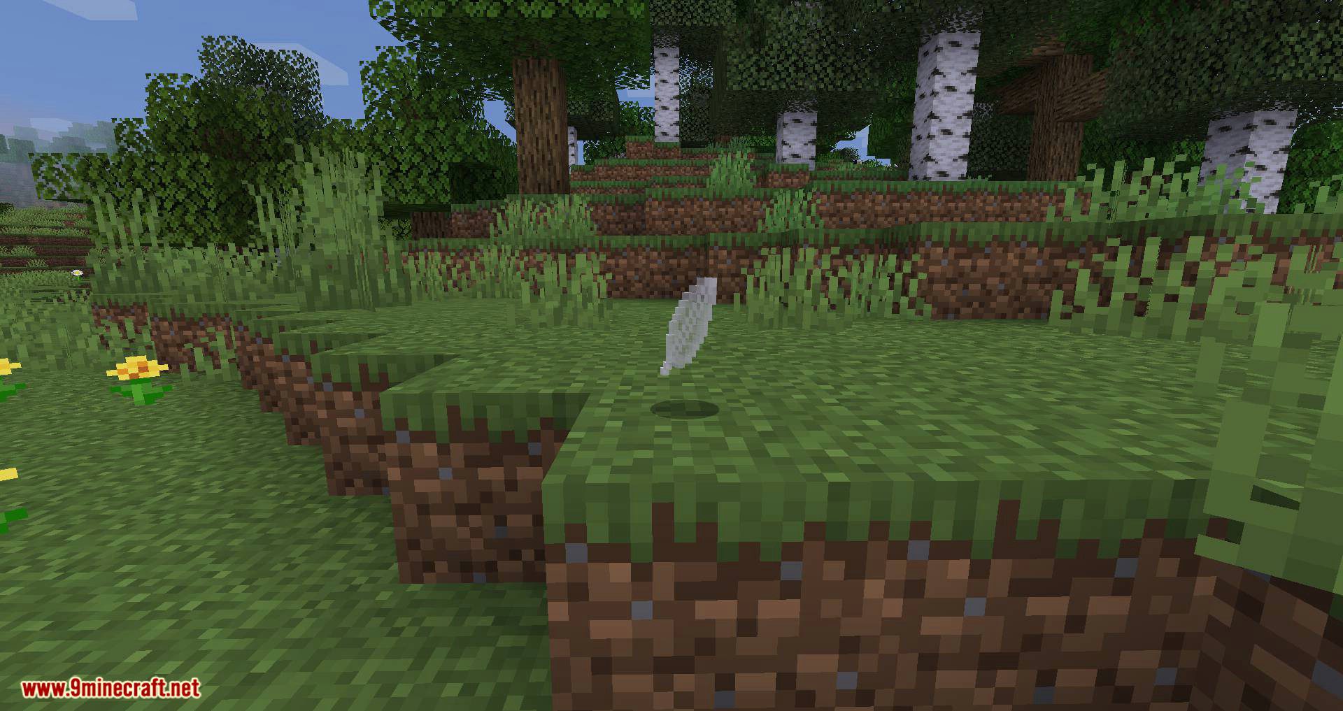 Magic Feather Mod 1.16.5, 1.15.2 (Creative Flight that Doesn't Ruin Exploration) 10