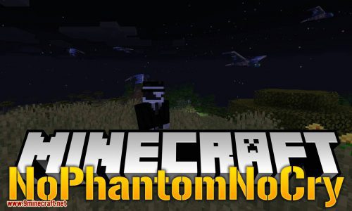 NoPhantomNoCry Mod 1.17.1, 1.16.5 (No More Phantoms) Thumbnail