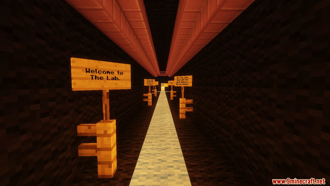 Beautiful Dreamer Map 1.11.2 for Minecraft 8