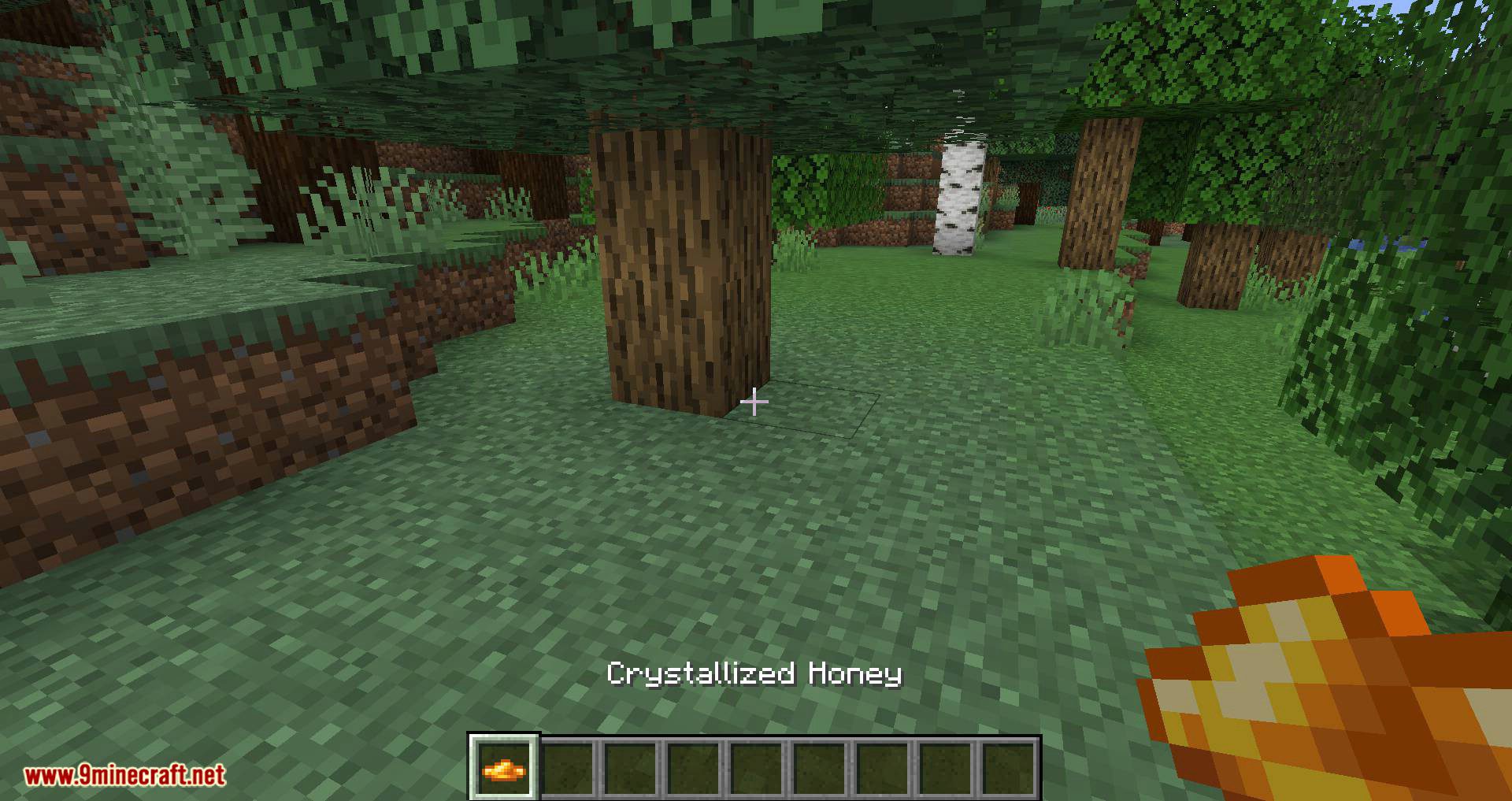 Buzzier Bees Mod (1.19.2, 1.18.2) - Tons of Bees Stuffs 7