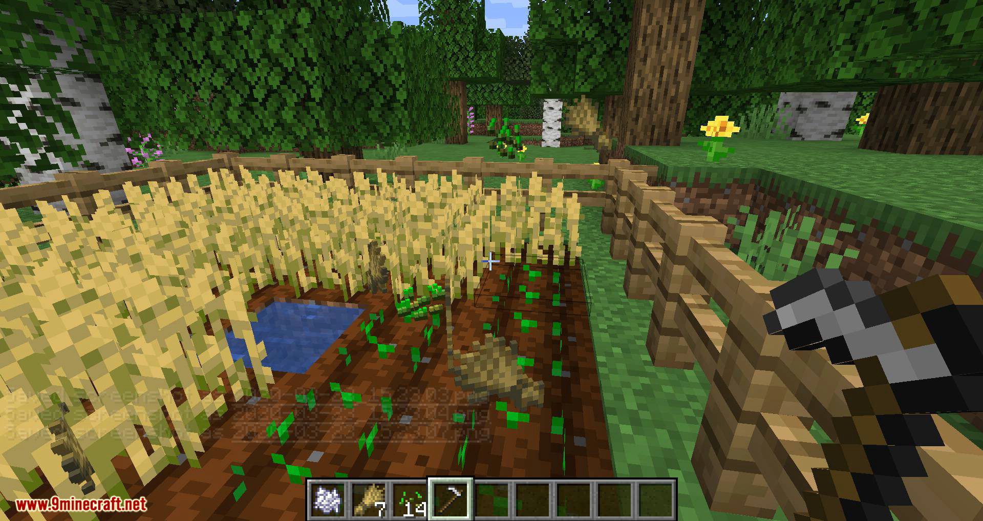 Harvest Mod (1.20.4, 1.19.2) - Harvest with Right Click 6