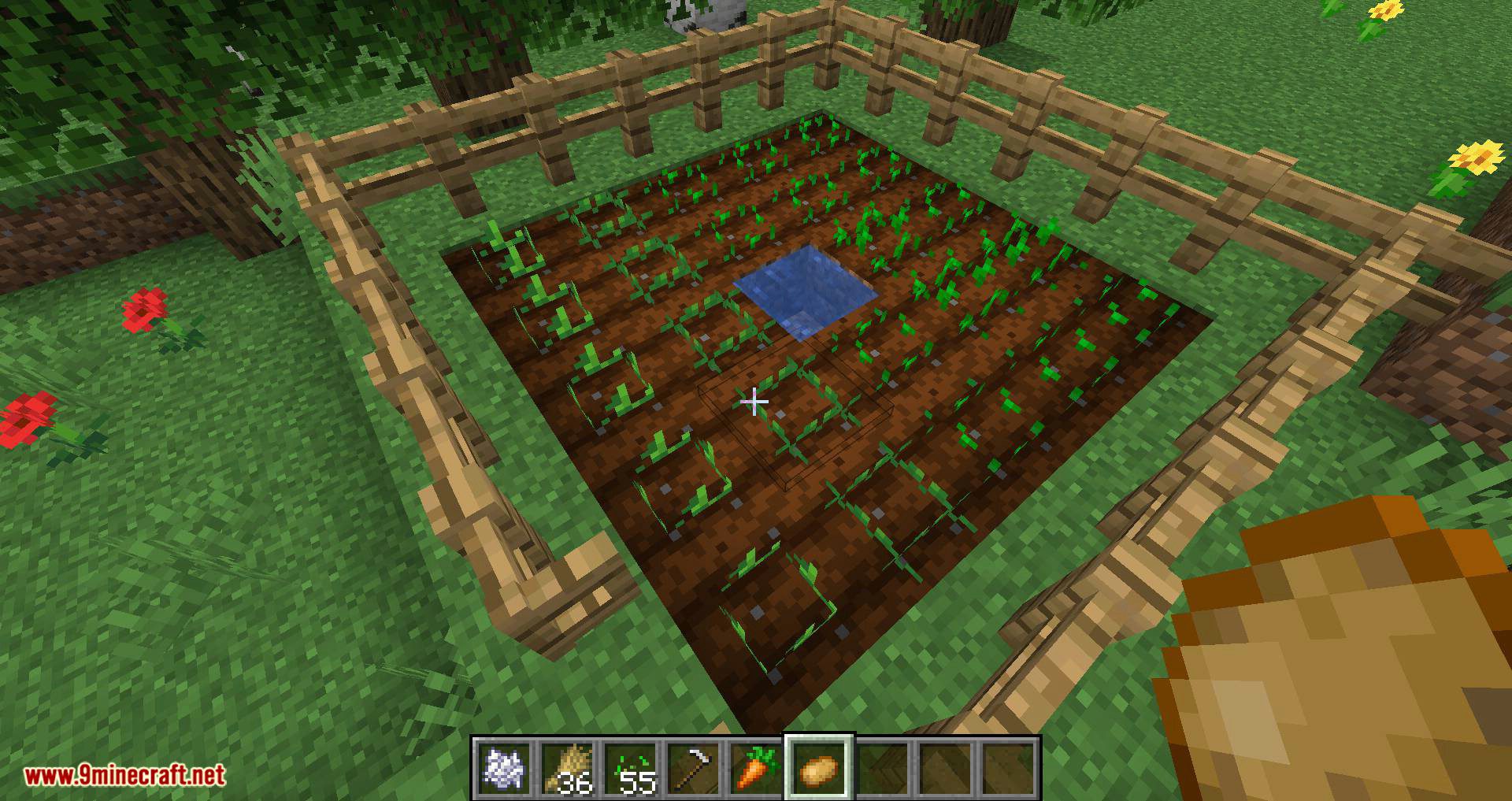 Harvest Mod (1.20.4, 1.19.2) - Harvest with Right Click 11