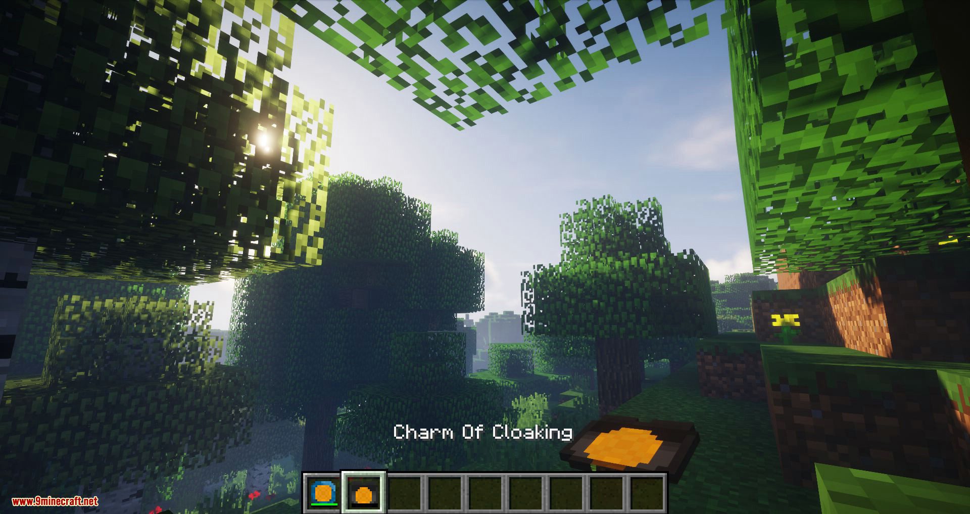 Magic Charms Mod 1.12.2 (Craftable charms with Special Powers) 21