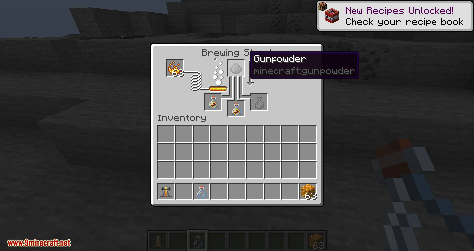 Potion of Bees Mod (1.20.1, 1.19.2) - Guaranteed to Cure what Ails You 9