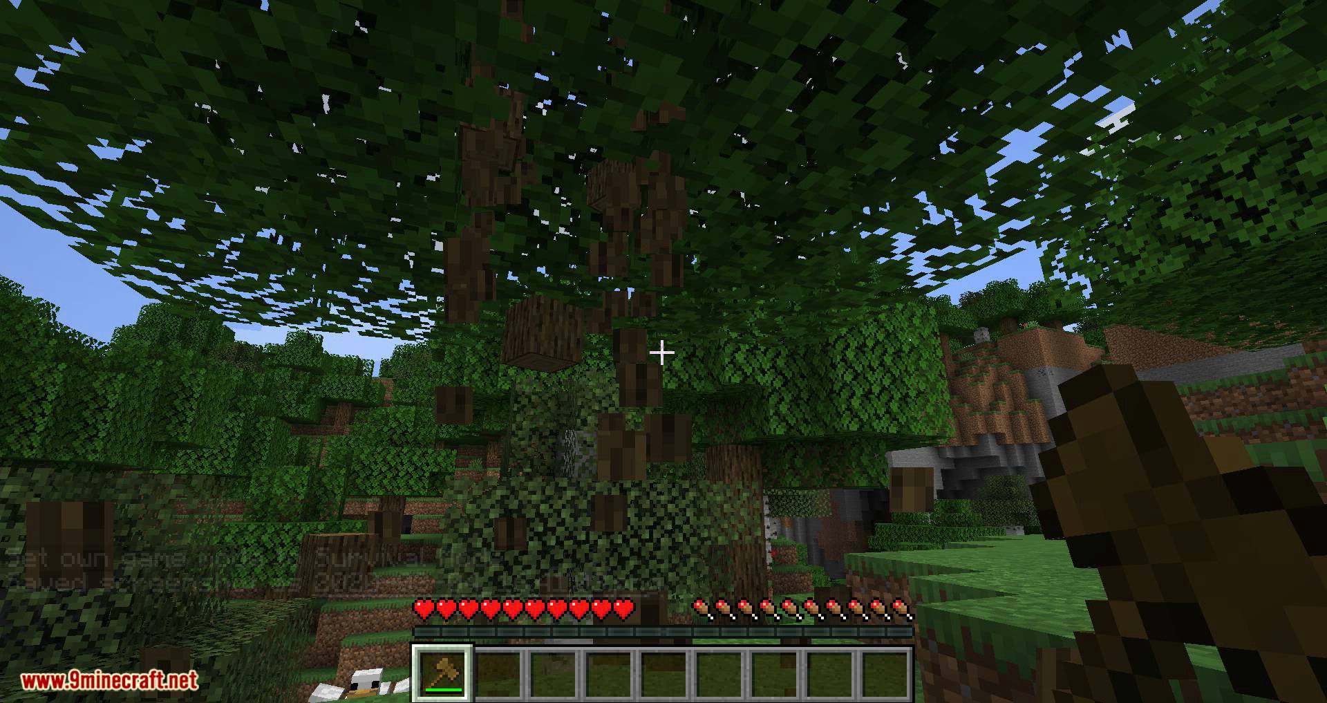 Super Axes Mod 1.16.5 (Vanilla Tree-Chopper) 5