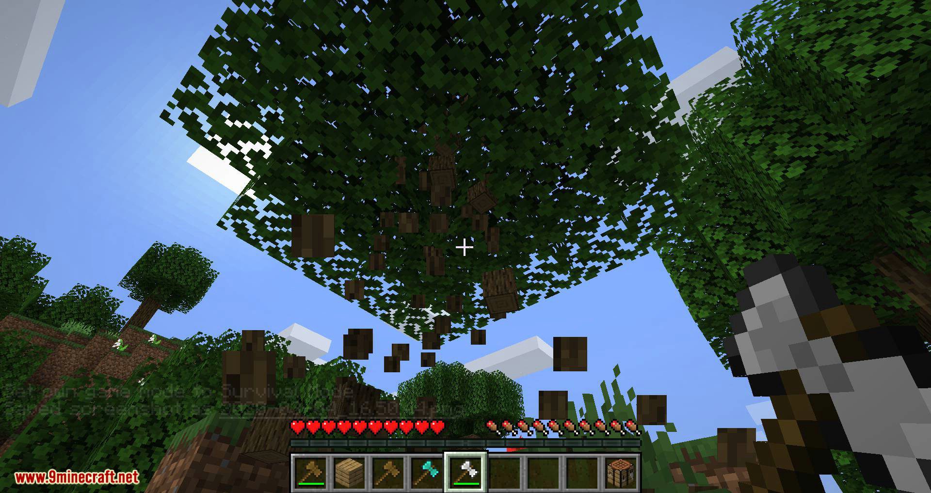 Super Axes Mod 1.16.5 (Vanilla Tree-Chopper) 12