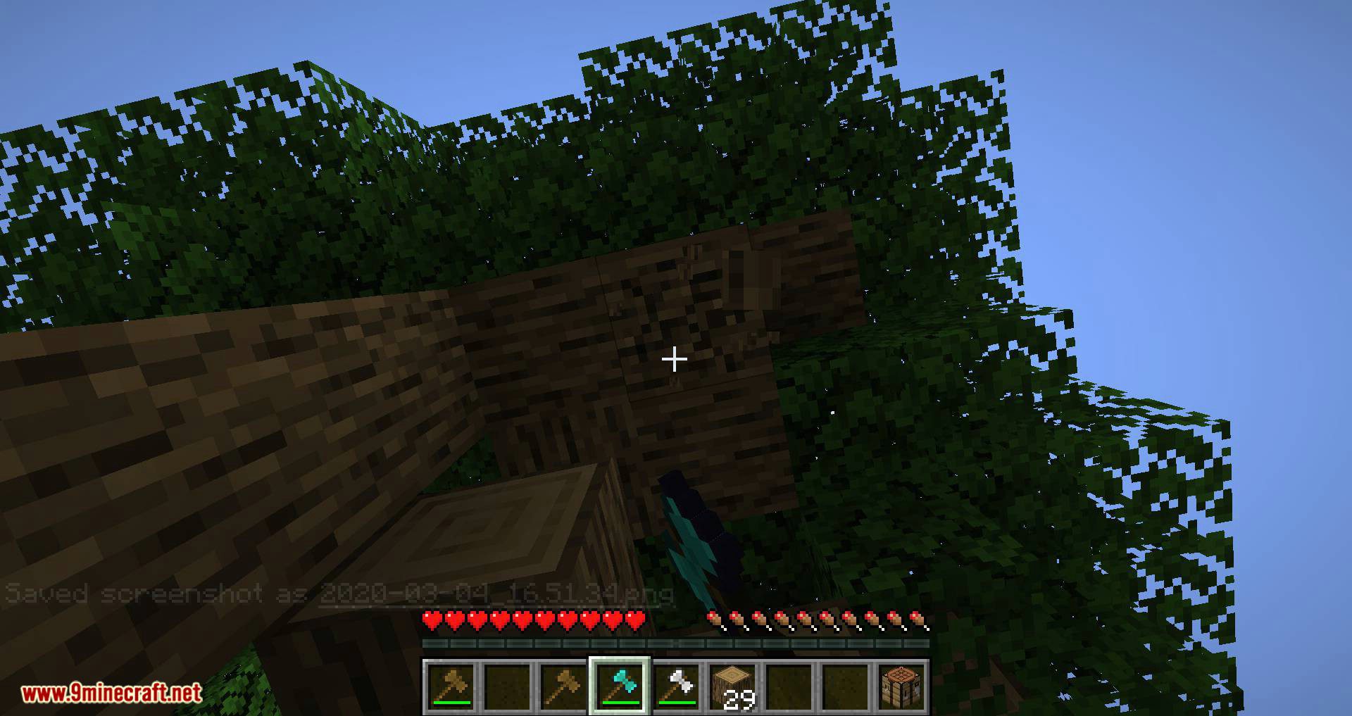 Super Axes Mod 1.16.5 (Vanilla Tree-Chopper) 13