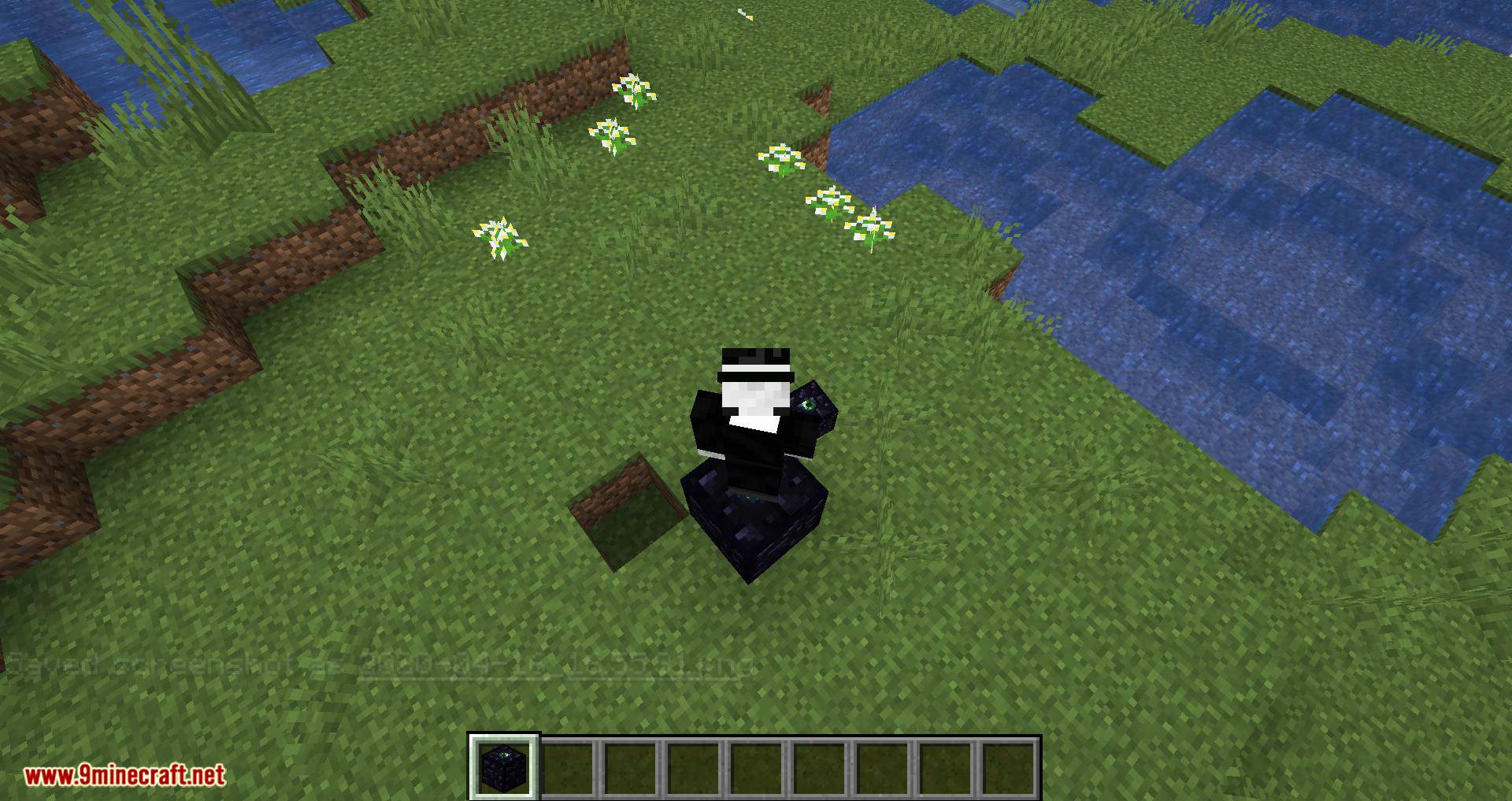 Enderlift Mod 1.15.2 (Upward Teleport) 5