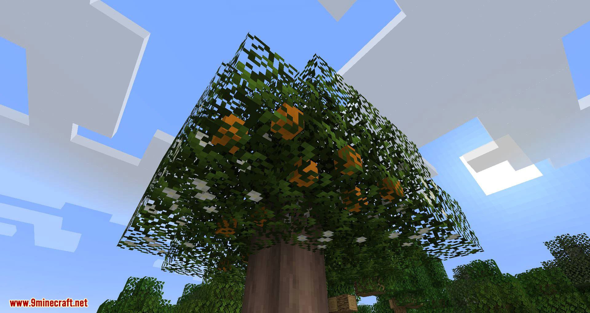 Fruit Trees Mod (1.20.1, 1.19.2) - Fruitful Fun Mod 7