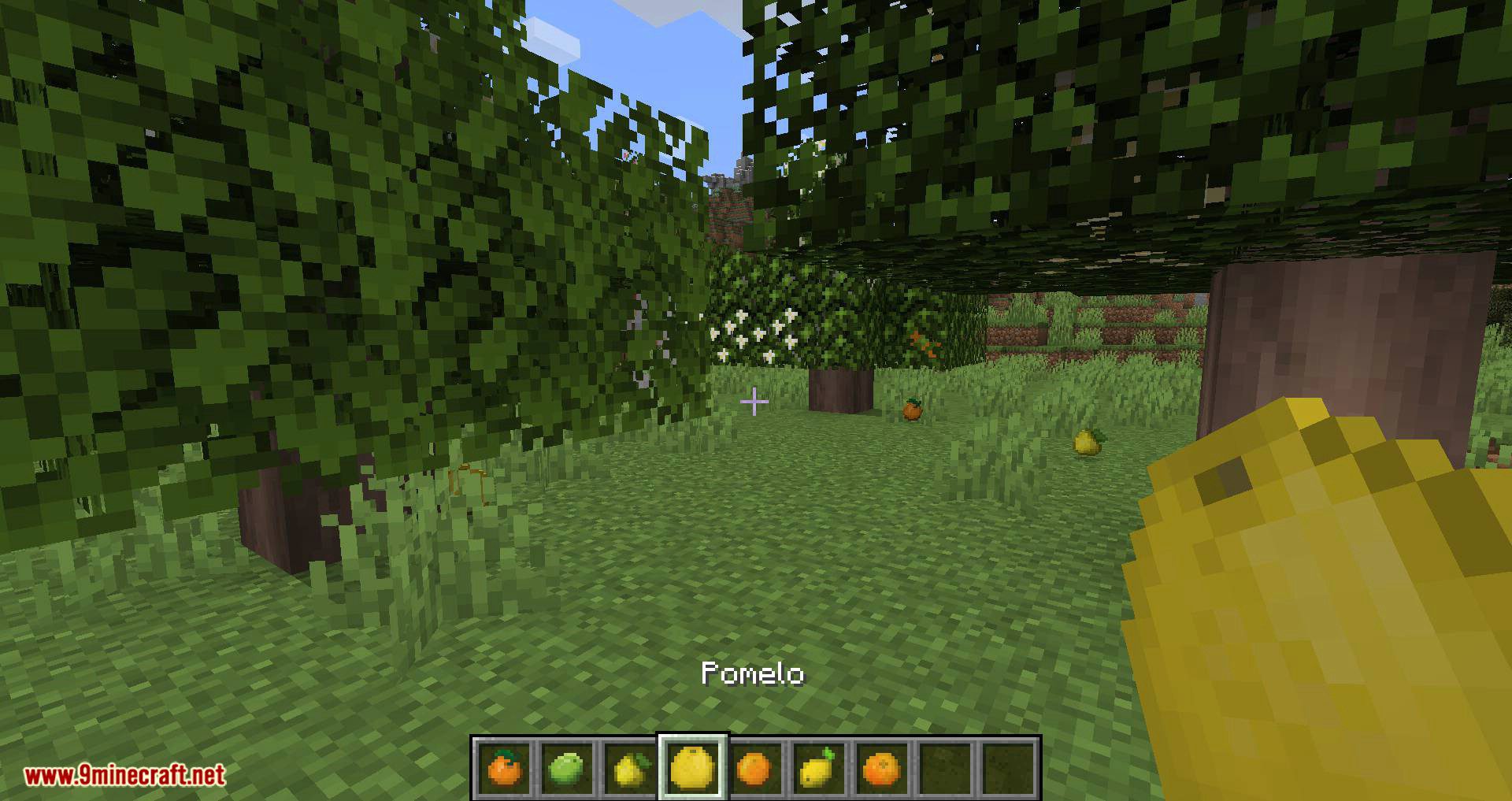 Fruit Trees Mod (1.20.1, 1.19.2) - Fruitful Fun Mod 11