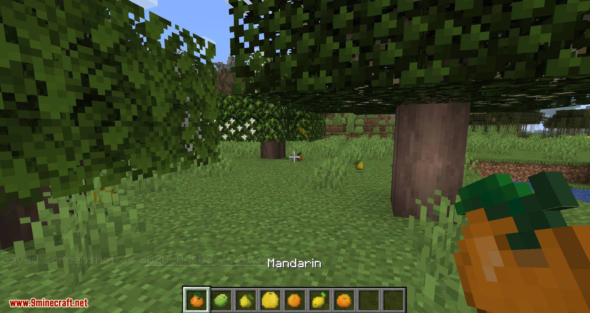 Fruit Trees Mod (1.20.1, 1.19.2) - Fruitful Fun Mod 12