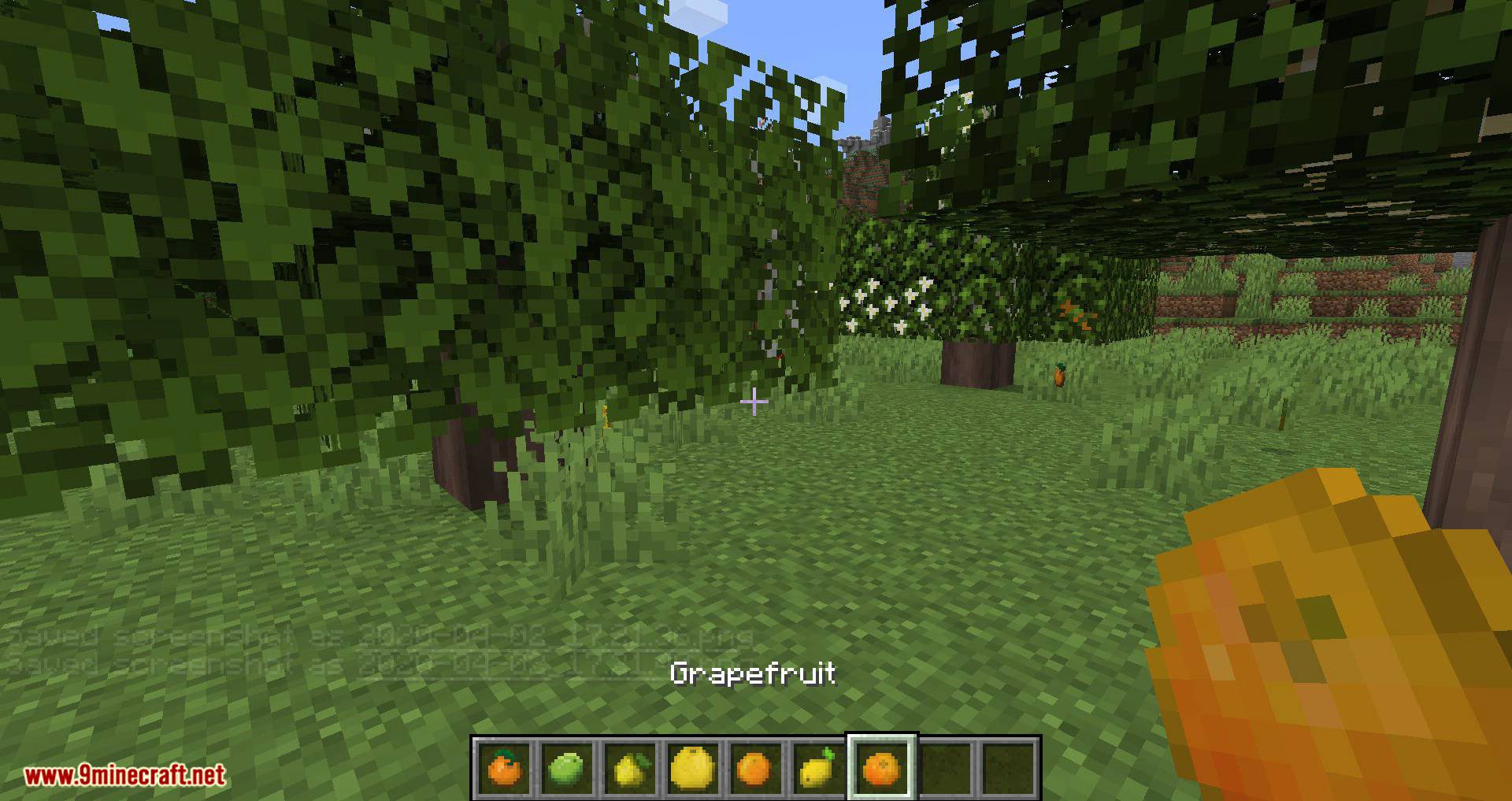 Fruit Trees Mod (1.20.1, 1.19.2) - Fruitful Fun Mod 13