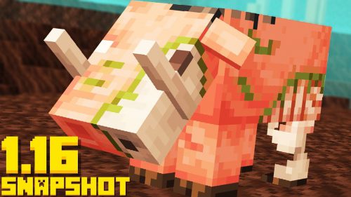 Minecraft 1.16 Snapshot 20w14a (New Zoglin Mob) Thumbnail