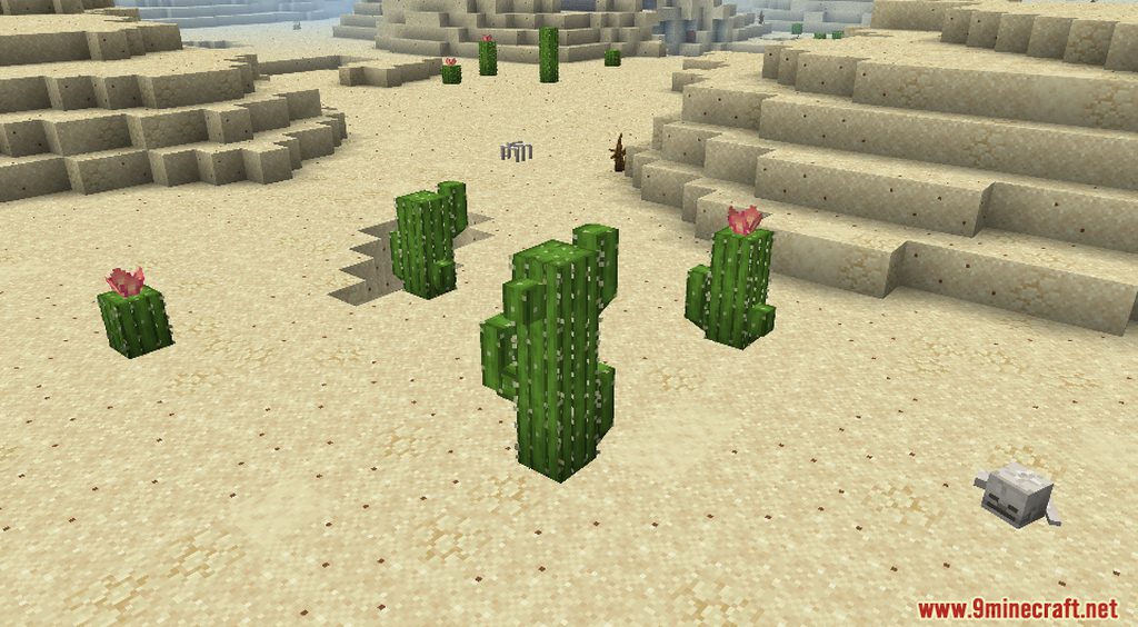 ShengLing Resource Pack (1.15.2, 1.14.4) - Texture Pack 4