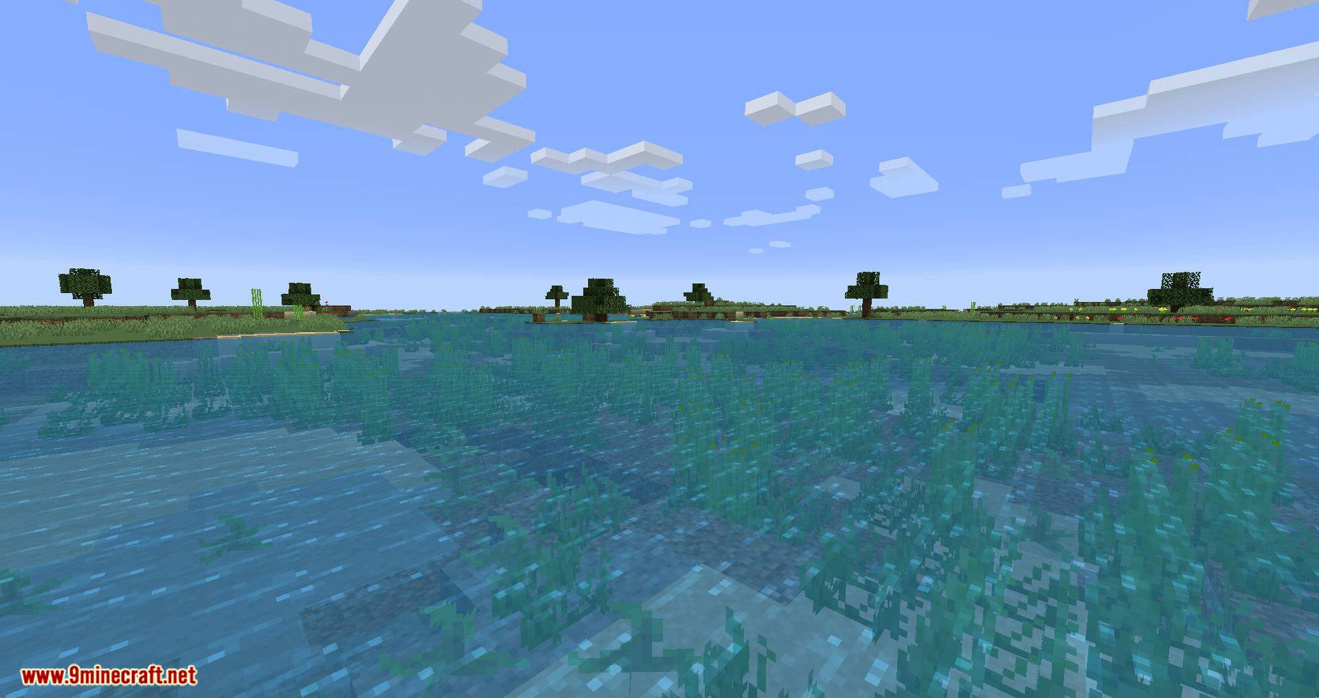 Voyage Mod 1.16.5, 1.15.2 (Too Many New Biomes) 23