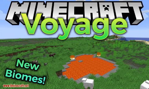 Voyage Mod 1.16.5, 1.15.2 (Too Many New Biomes) Thumbnail