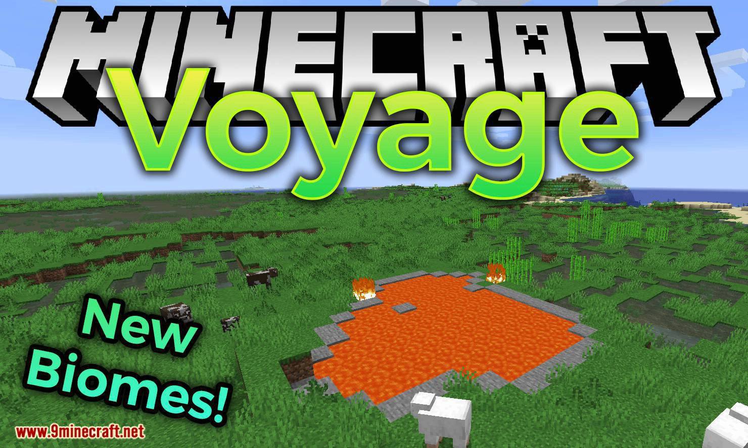 Voyage Mod 1.16.5, 1.15.2 (Too Many New Biomes) 1