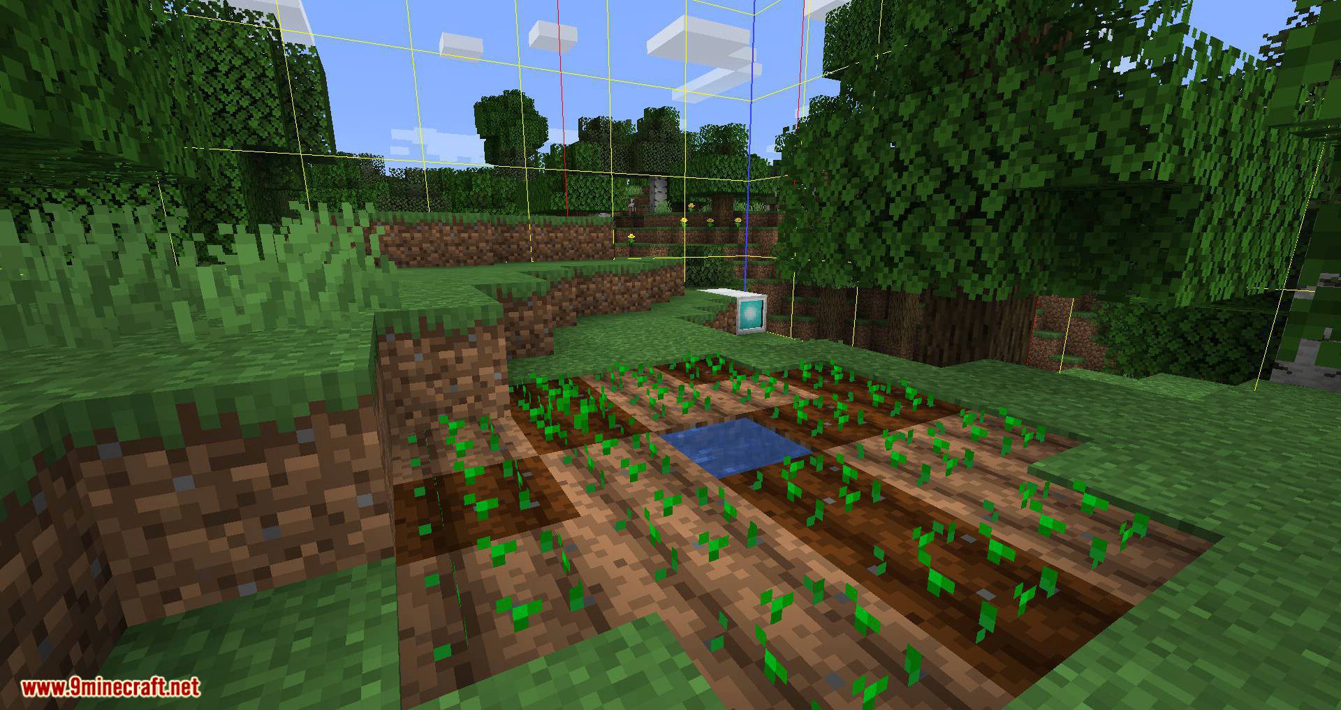 Chunkt Mod 1.15.2, 1.14.4 (Simple Chunk Mod) 6