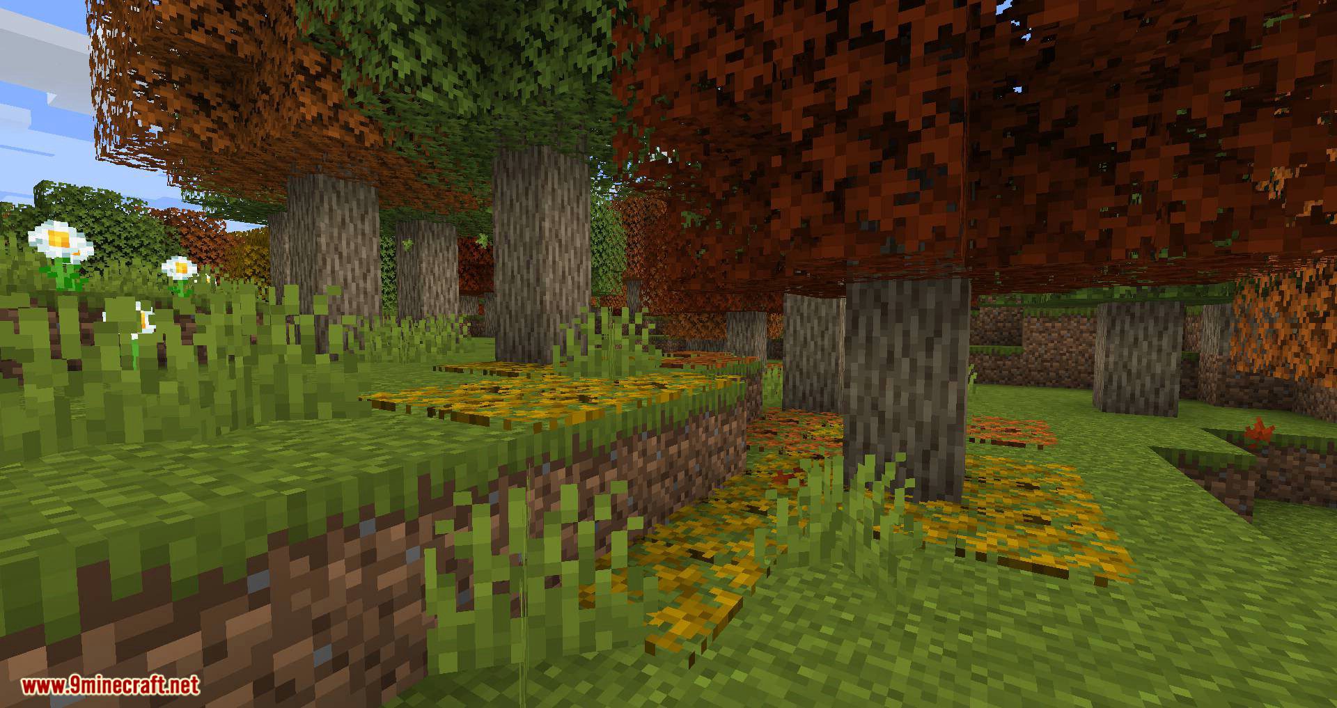 Autumnity Mod (1.19.2, 1.18.2) - Autumn Biome 10