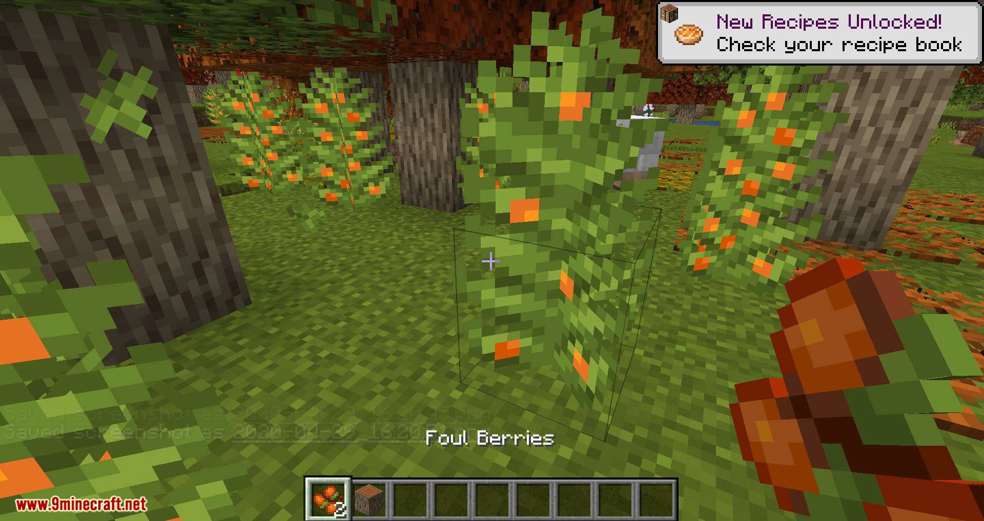 Autumnity Mod (1.19.2, 1.18.2) - Autumn Biome 11