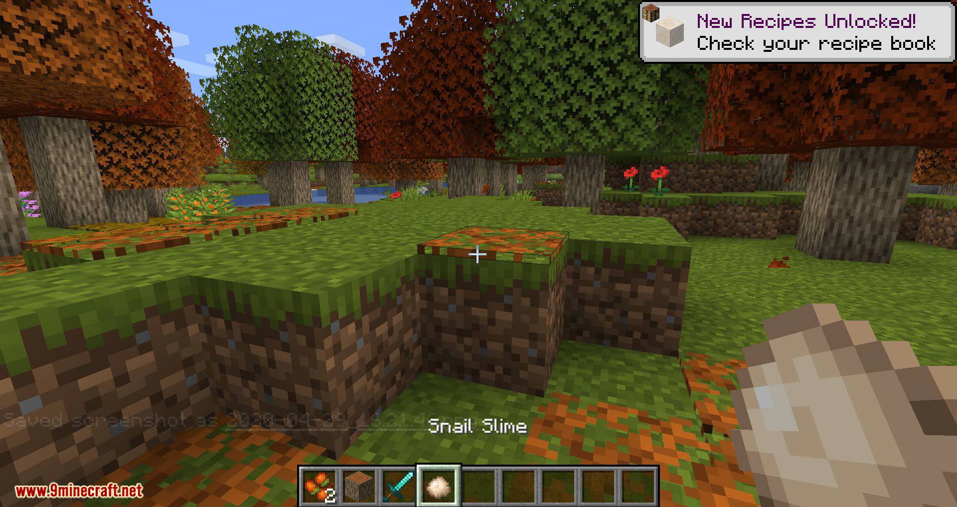 Autumnity Mod (1.19.2, 1.18.2) - Autumn Biome 15