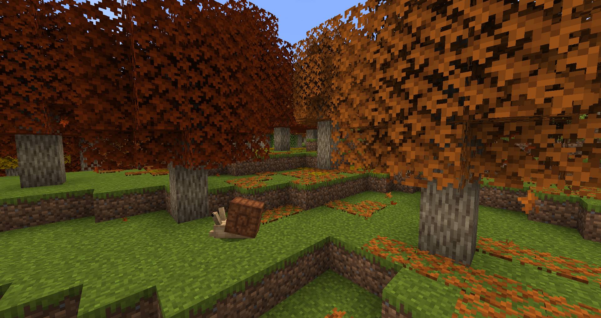 Autumnity Mod (1.19.2, 1.18.2) - Autumn Biome 2