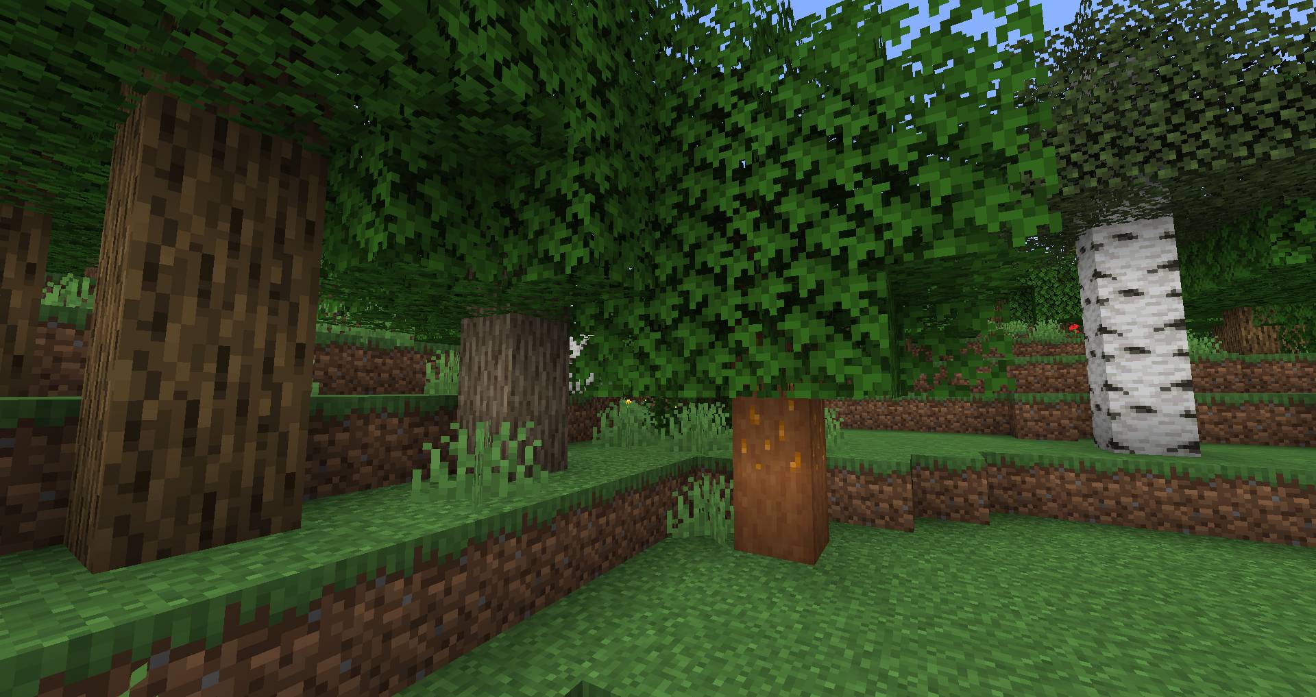 Autumnity Mod (1.19.2, 1.18.2) - Autumn Biome 3