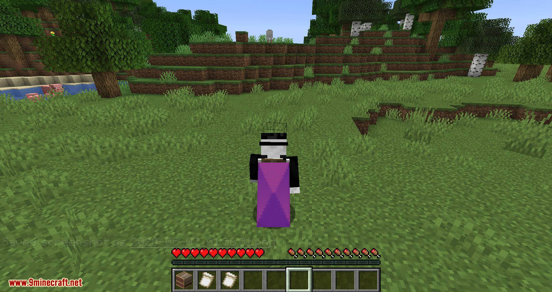 Banner Capes Mod (1.16.5, 1.15.2) - Wear a Banner as a Cape 7