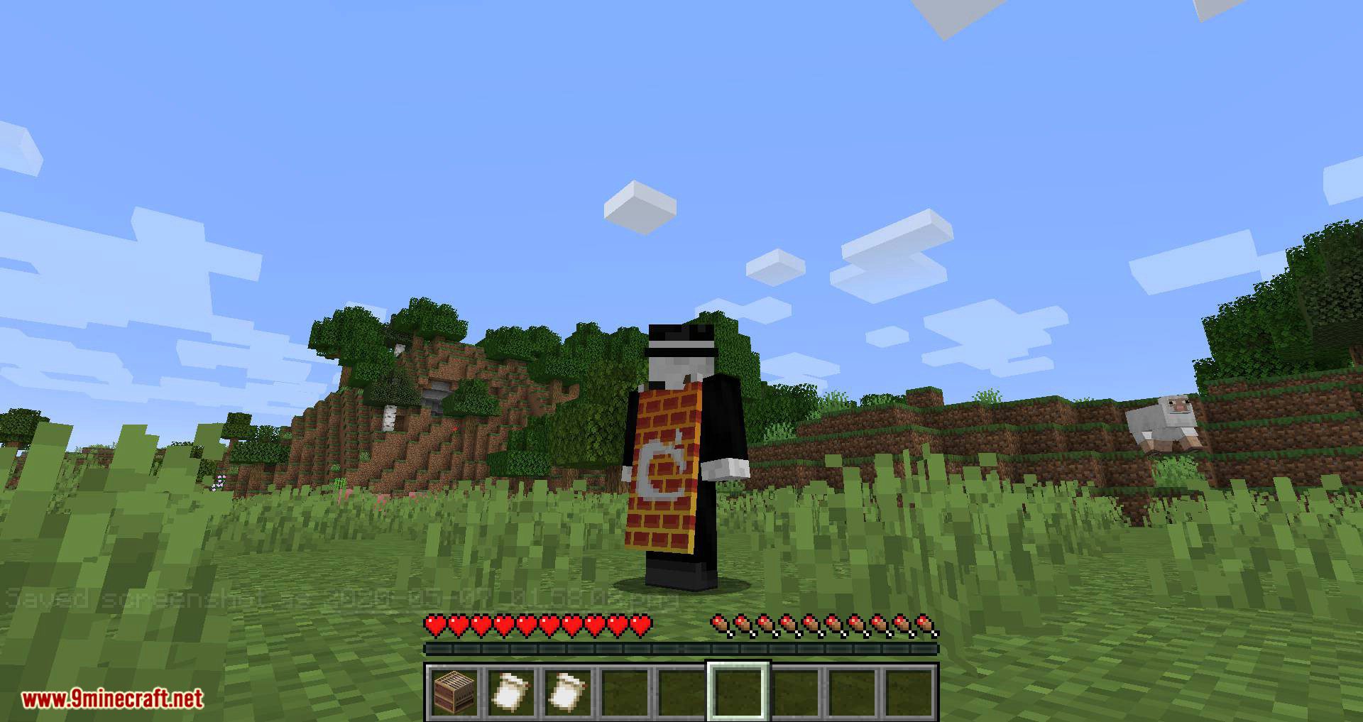 Banner Capes Mod (1.16.5, 1.15.2) - Wear a Banner as a Cape 8