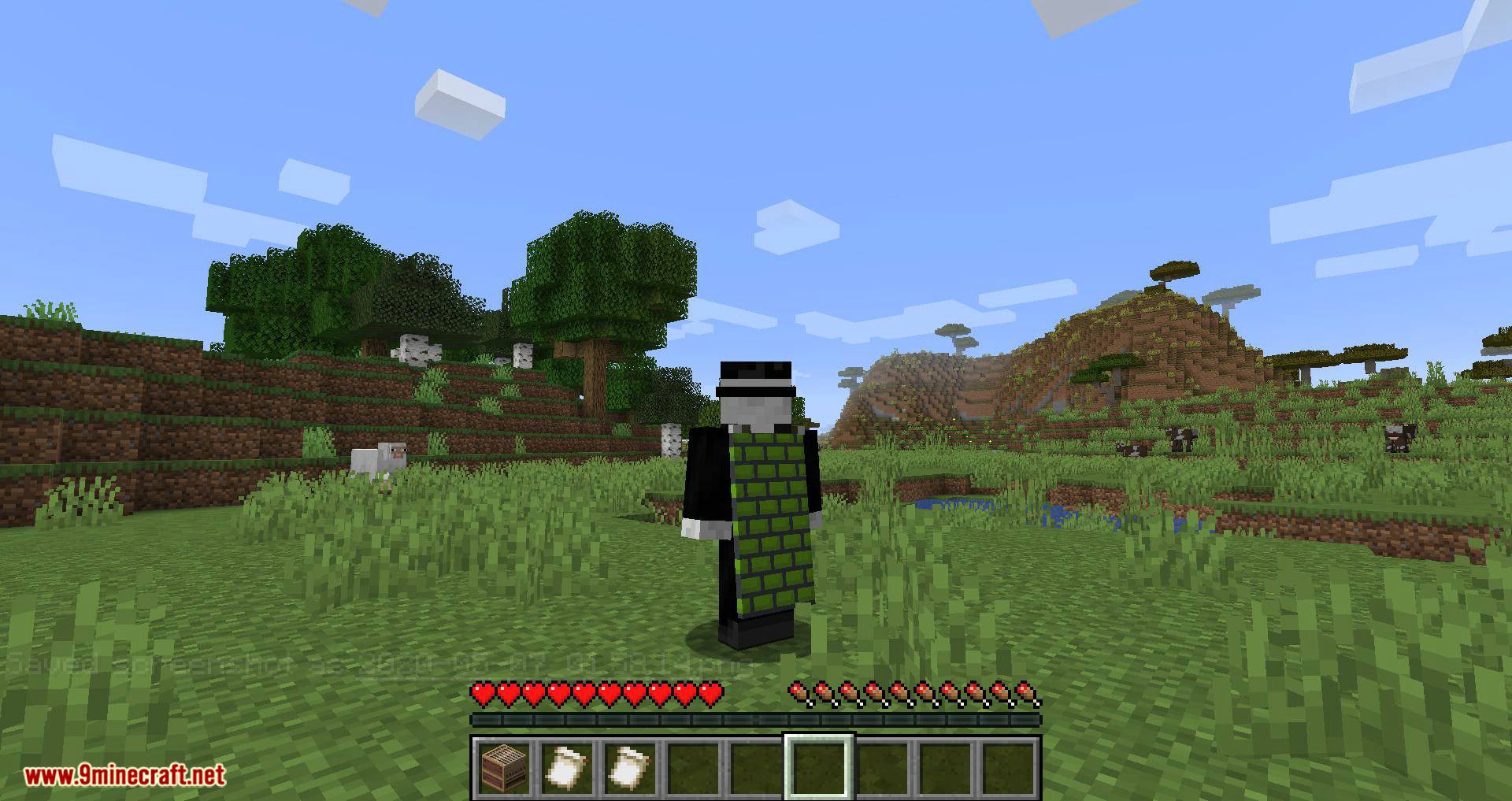 Banner Capes Mod (1.16.5, 1.15.2) - Wear a Banner as a Cape 9