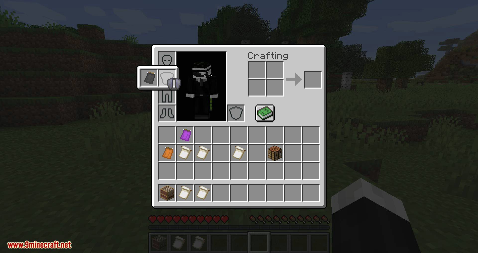 Banner Capes Mod (1.16.5, 1.15.2) - Wear a Banner as a Cape 10