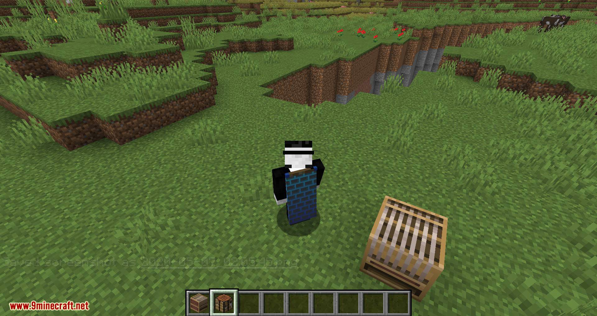 Banner Capes Mod (1.16.5, 1.15.2) - Wear a Banner as a Cape 12