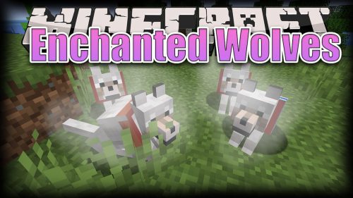 Enchanted Wolves Mod (1.20.1, 1.18.2) – Enchanted Companion, Stronger Pet Thumbnail