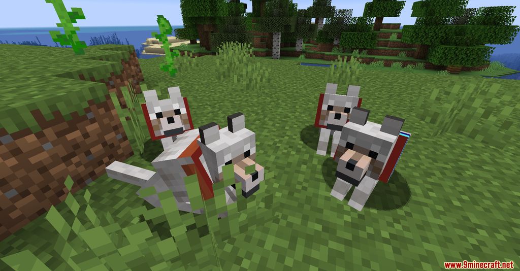 Enchanted Wolves Mod (1.20.1, 1.18.2) - Enchanted Companion, Stronger Pet 9