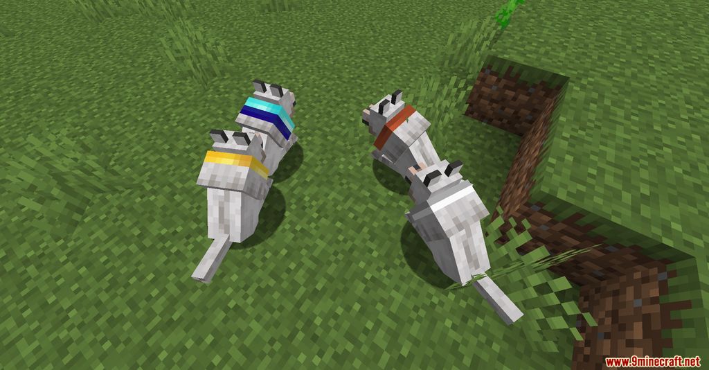 Enchanted Wolves Mod (1.20.1, 1.18.2) - Enchanted Companion, Stronger Pet 10