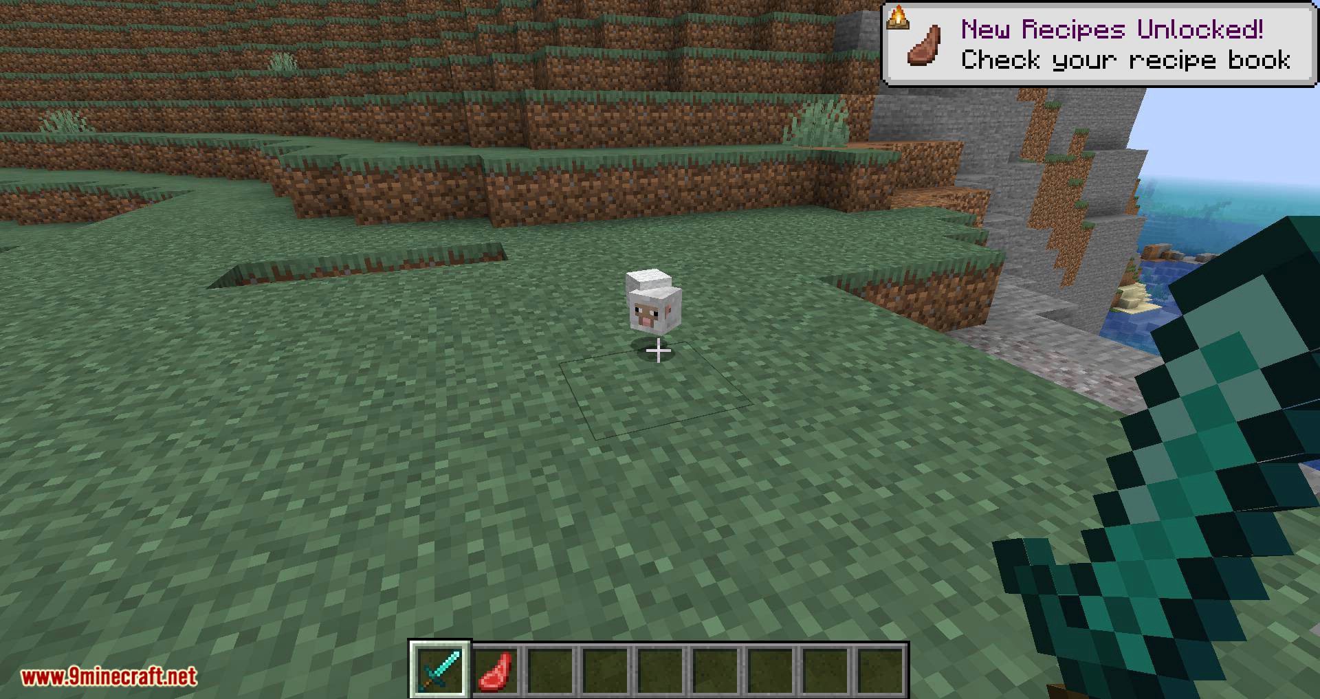 Mob Heads Mod 1.16.5, 1.15.2 (Many Cool Heads) 4