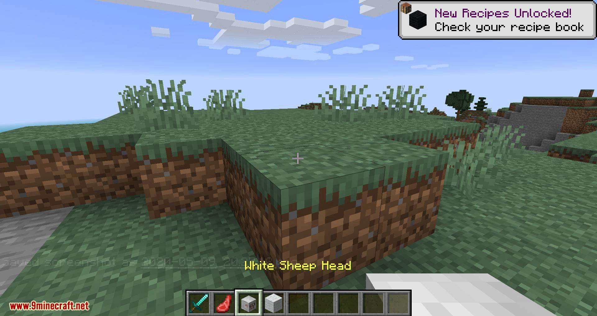 Mob Heads Mod 1.16.5, 1.15.2 (Many Cool Heads) 5