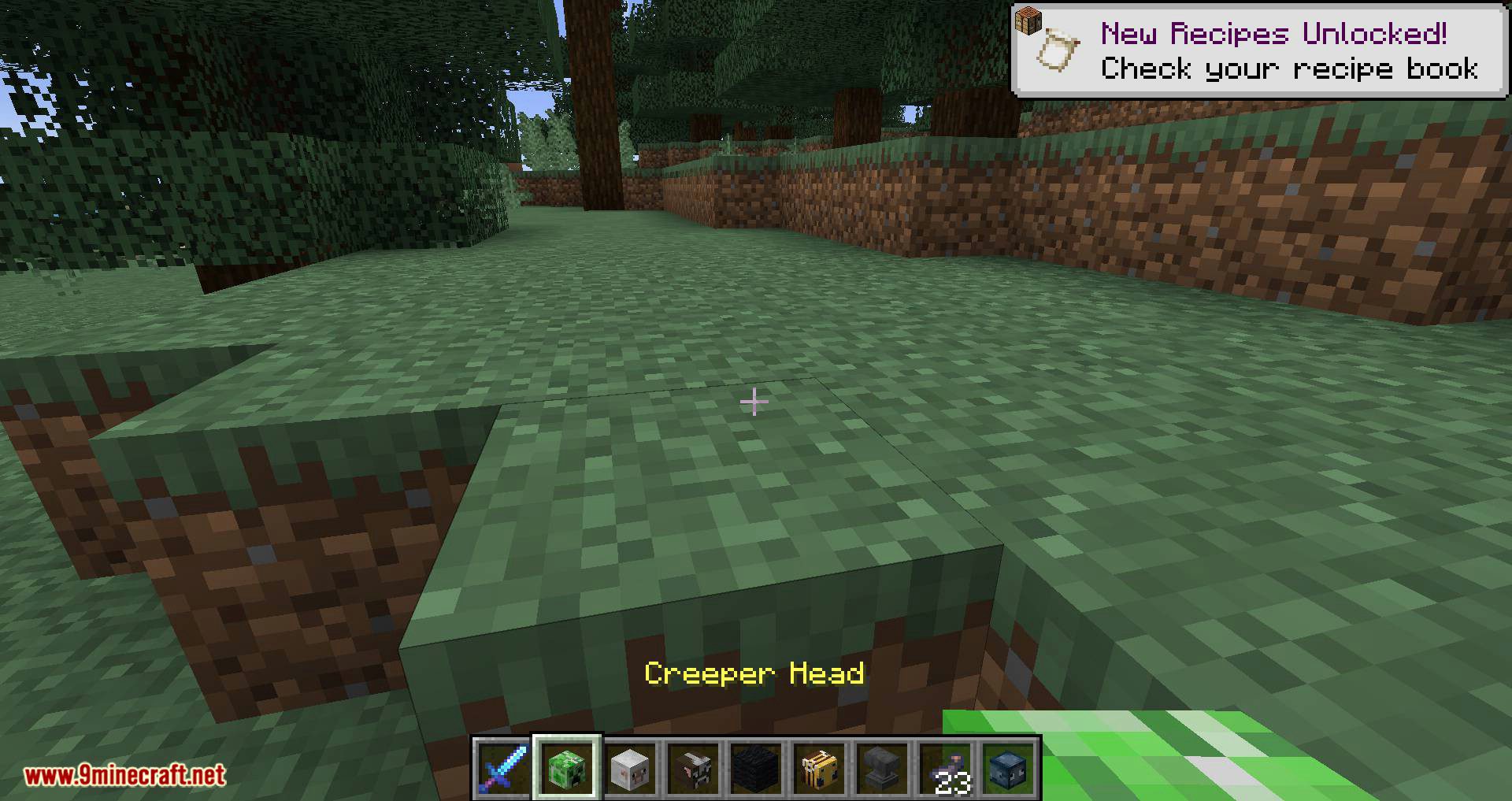 Mob Heads Mod 1.16.5, 1.15.2 (Many Cool Heads) 14