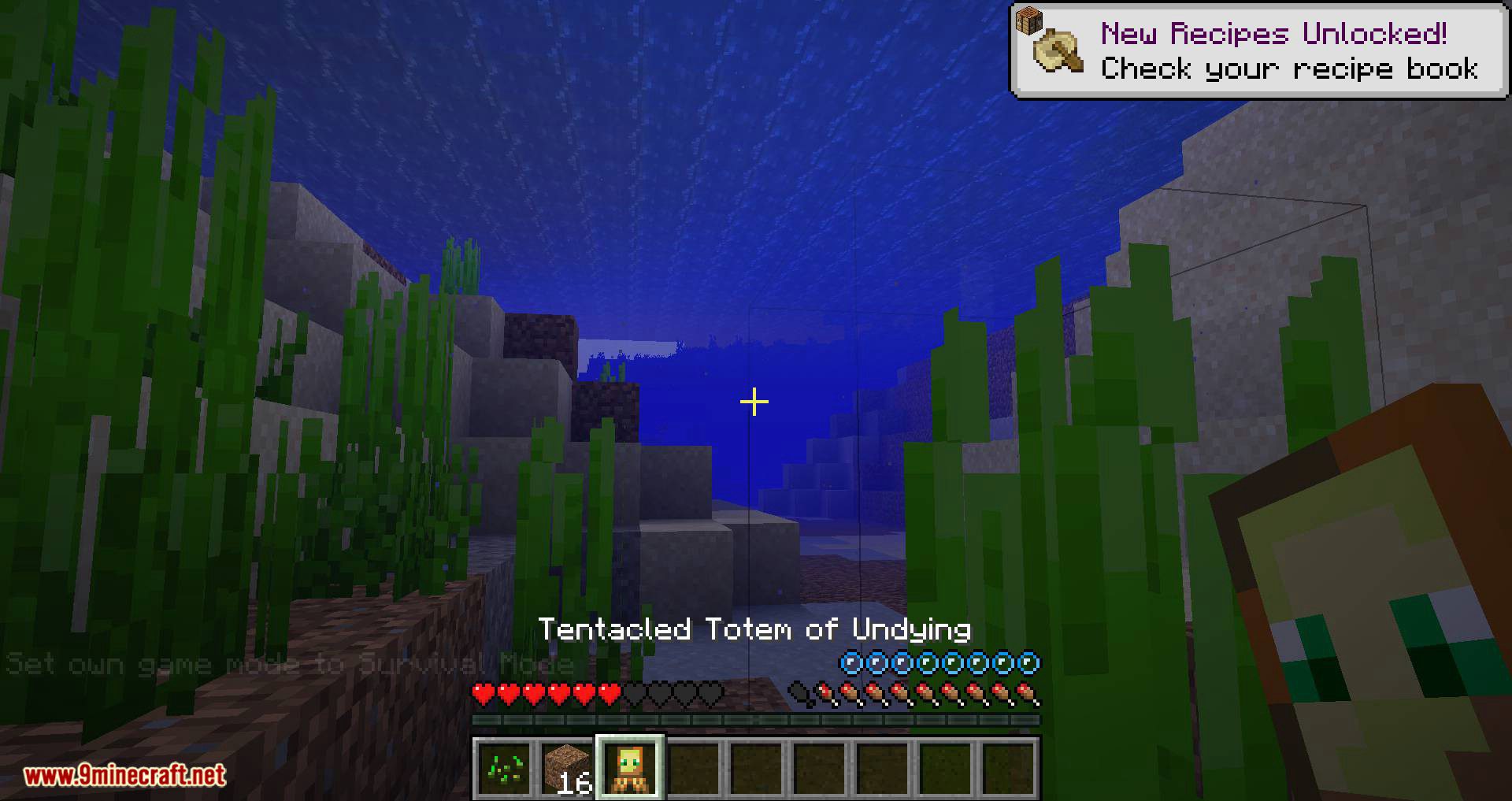 More Totems Of Undying Mod (1.20.1, 1.19.4) - More Ways to Revive 16