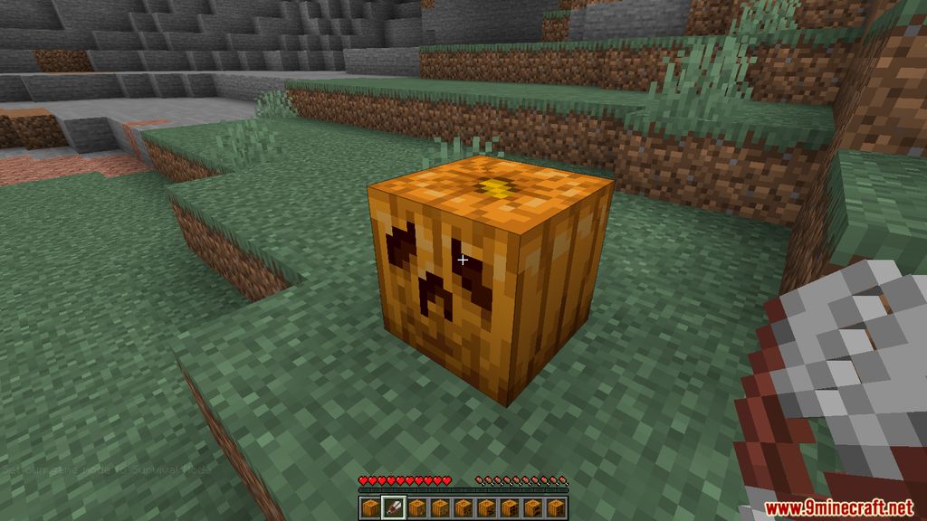 Oh My Gourd Mod (1.19.2, 1.18.2) - Custom Pumpkin Carves 3