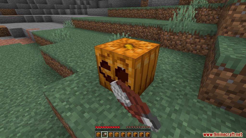 Oh My Gourd Mod (1.19.2, 1.18.2) - Custom Pumpkin Carves 4