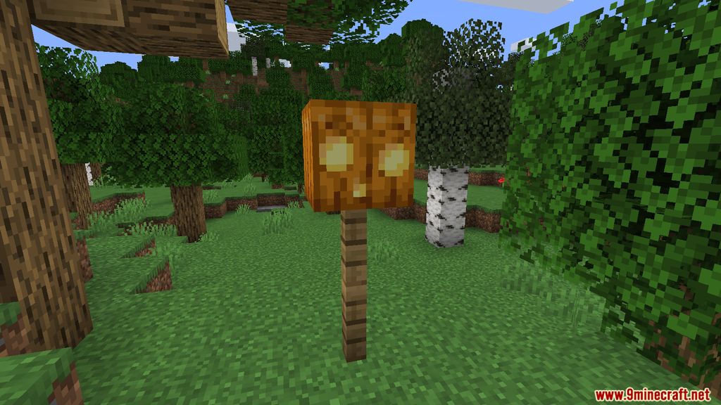 Oh My Gourd Mod (1.19.2, 1.18.2) - Custom Pumpkin Carves 7