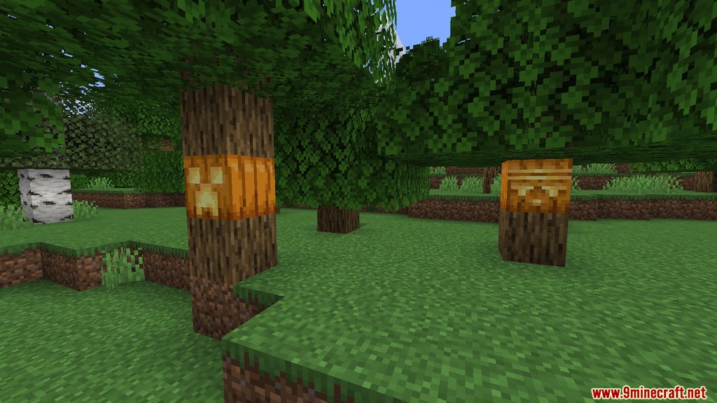 Oh My Gourd Mod (1.19.2, 1.18.2) - Custom Pumpkin Carves 8