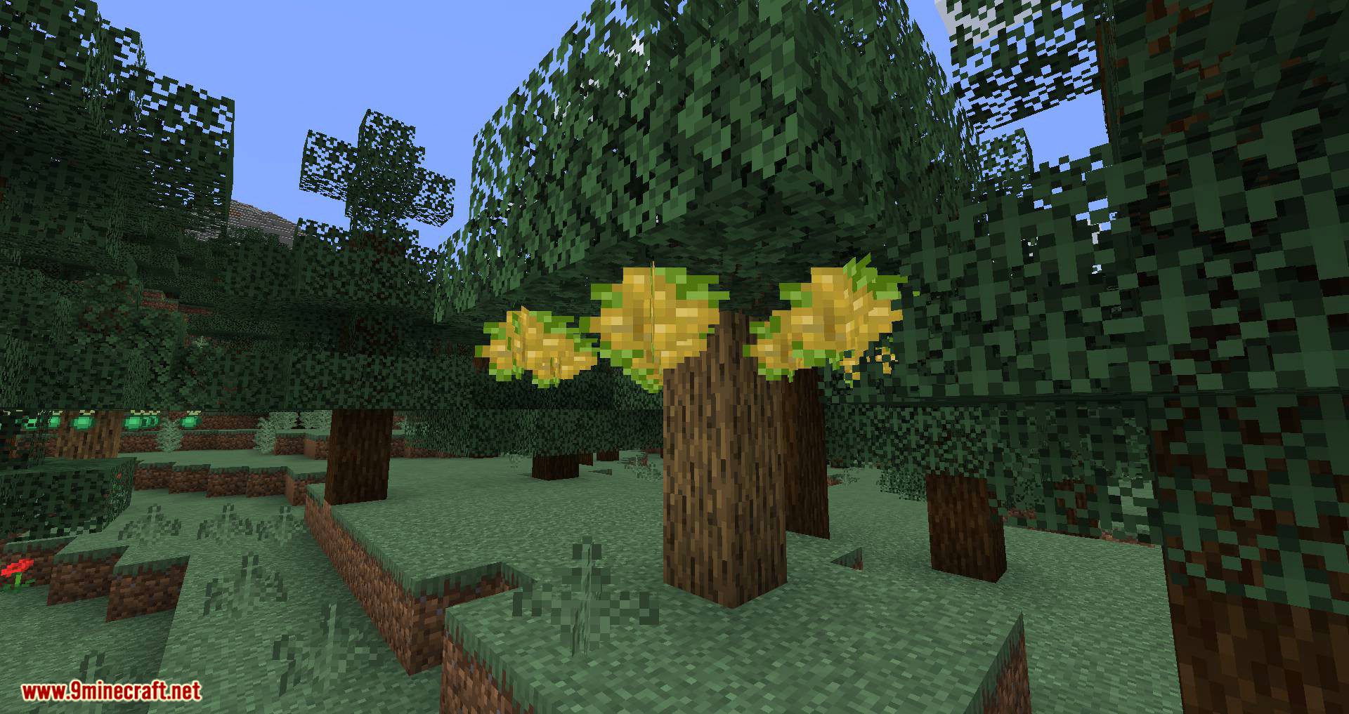 Pam's HarvestCraft 2 - Trees Mod (1.21.1, 1.20.1) - Many New Fruit-Bearing Trees 2