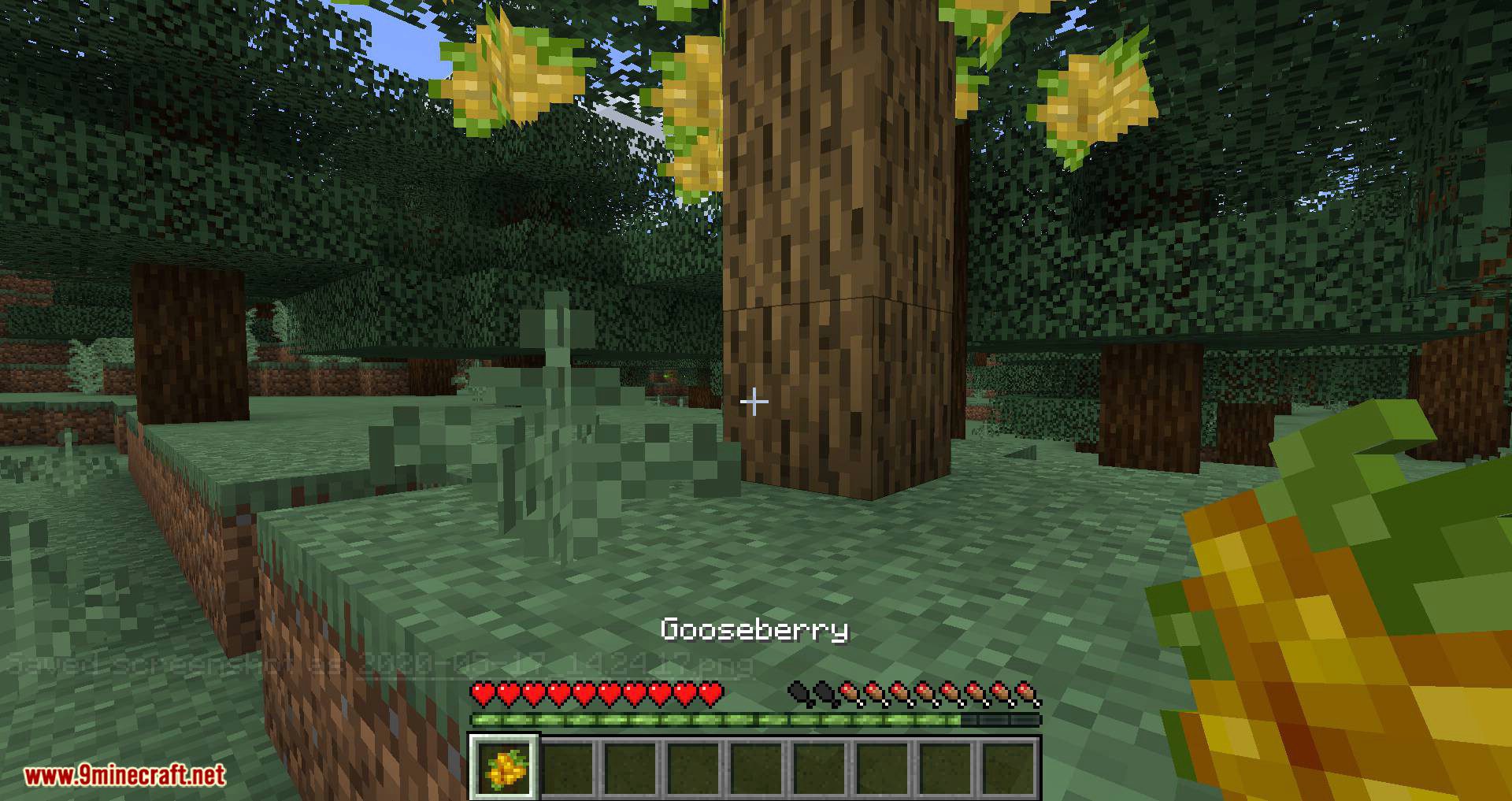 Pam's HarvestCraft 2 - Trees Mod (1.21.1, 1.20.1) - Many New Fruit-Bearing Trees 4