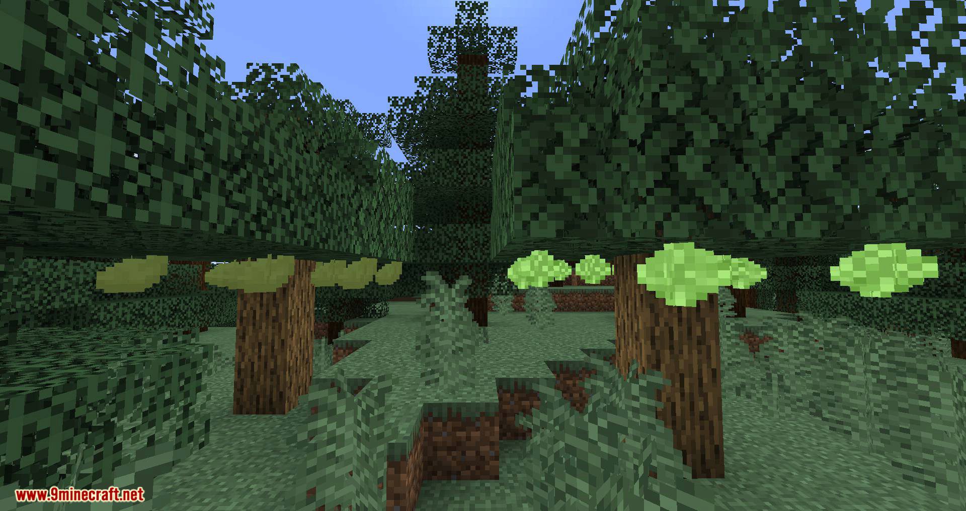 Pam's HarvestCraft 2 - Trees Mod (1.21.1, 1.20.1) - Many New Fruit-Bearing Trees 8