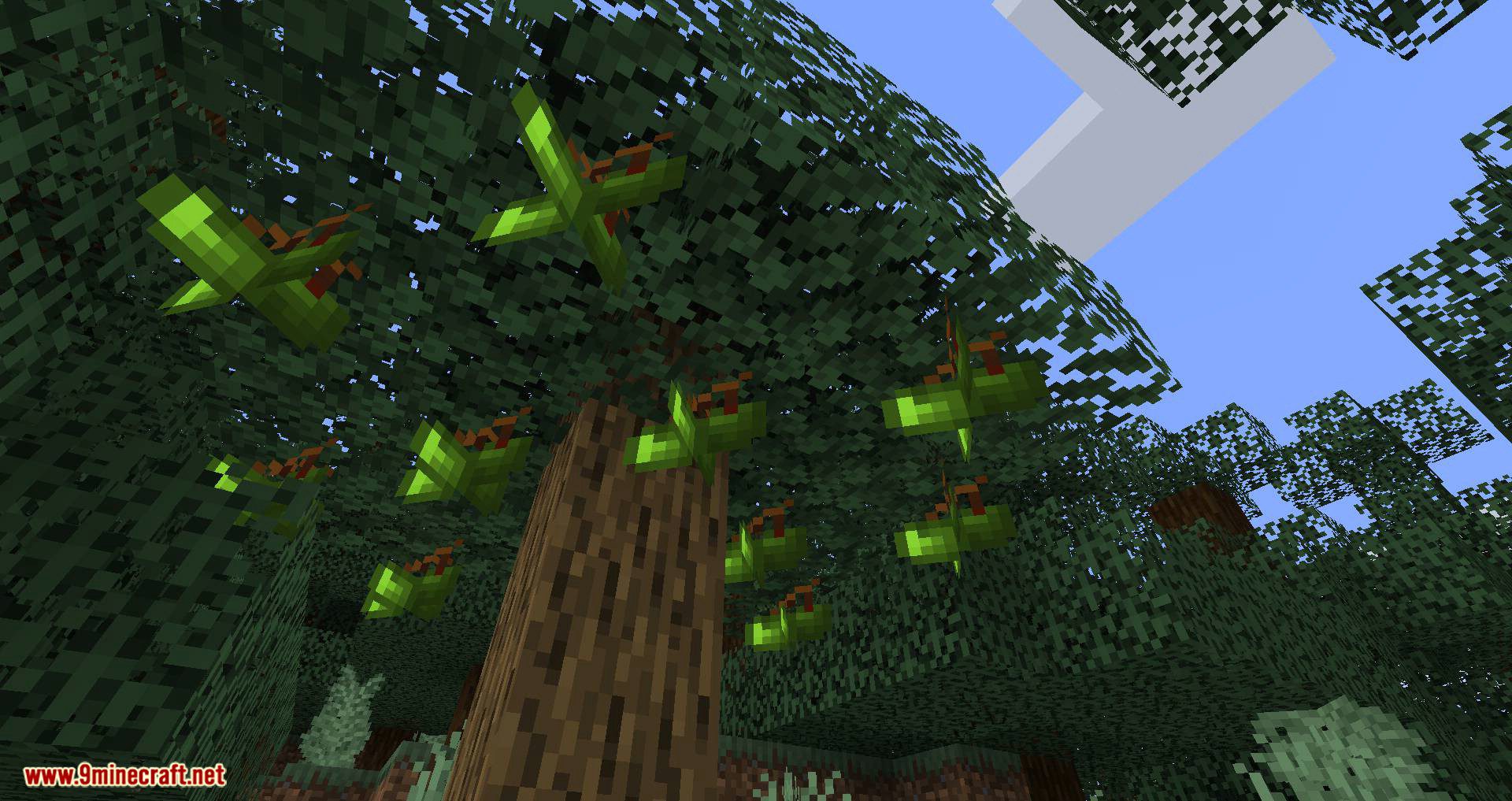 Pam's HarvestCraft 2 - Trees Mod (1.21.1, 1.20.1) - Many New Fruit-Bearing Trees 9