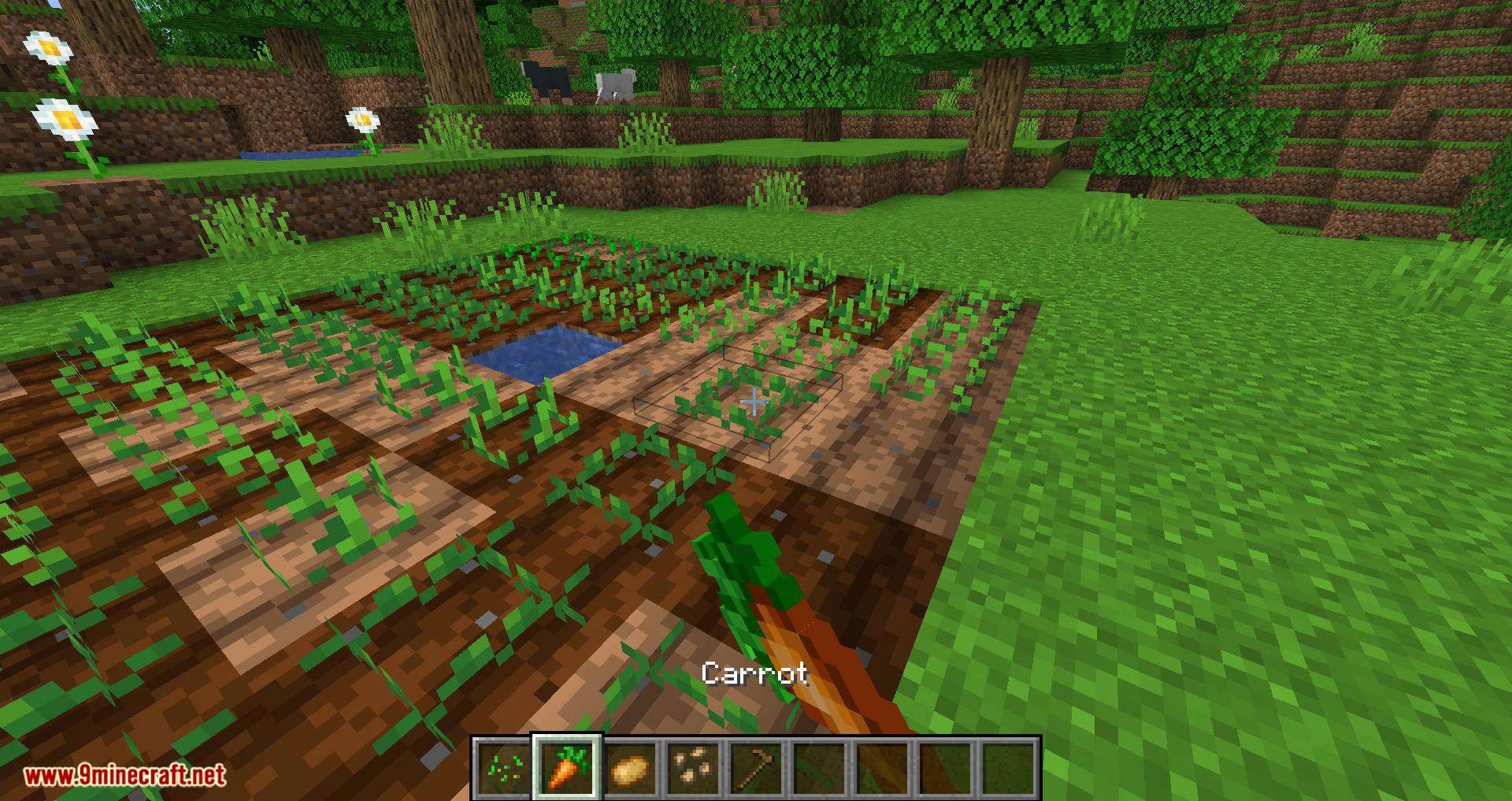 Replanting Crops Mod (1.20.4, 1.19.4) - Auto Replants/Replaces/Reseeds 6