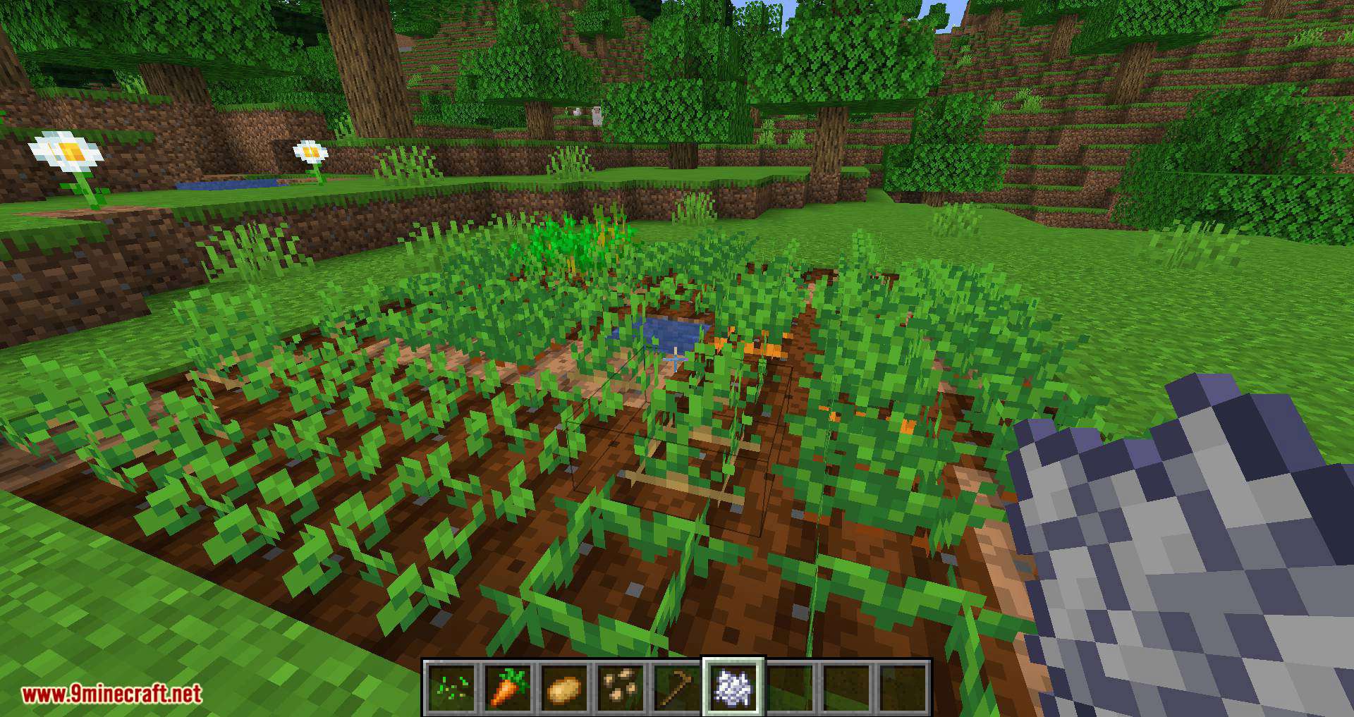 Replanting Crops Mod (1.20.4, 1.19.4) - Auto Replants/Replaces/Reseeds 7