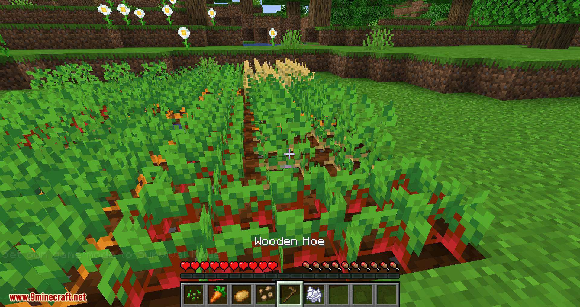 Replanting Crops Mod (1.20.4, 1.19.4) - Auto Replants/Replaces/Reseeds 10